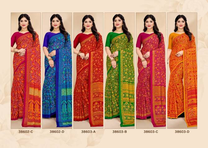 Star Chiffon 179 By Ruchi Daily Wear Chiffon Saree Wholesale Shop In Surat